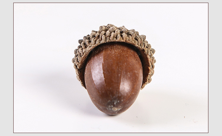 橡帽橡壳橡果可分离戴帽家居摆件diy饰品点缀工艺品拍摄道具批发