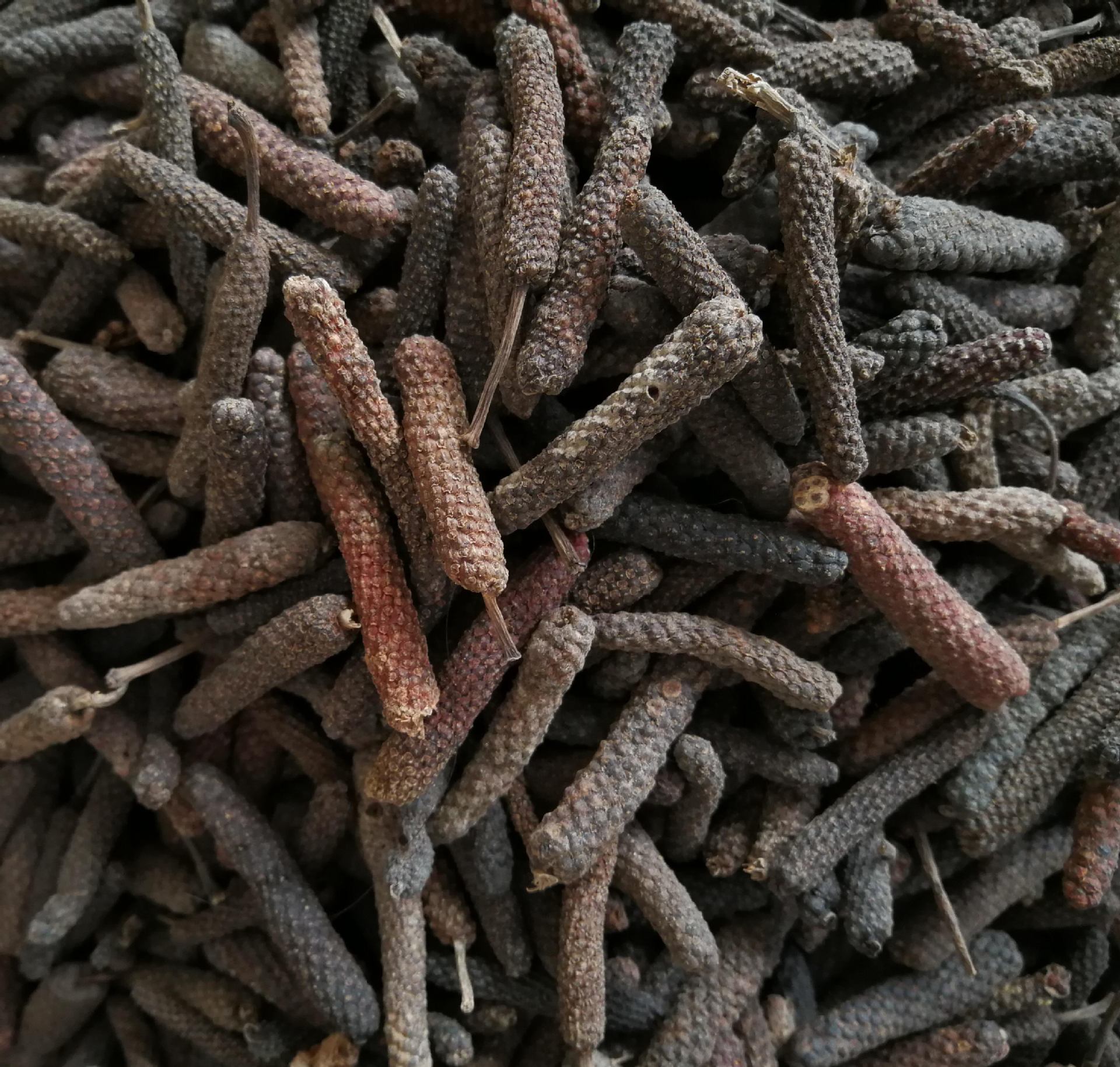 荜菝 毕菝 毕拔 荜拔荜拨 毕拨毕卜碧波另售草果丁香肉蔻花椒香料