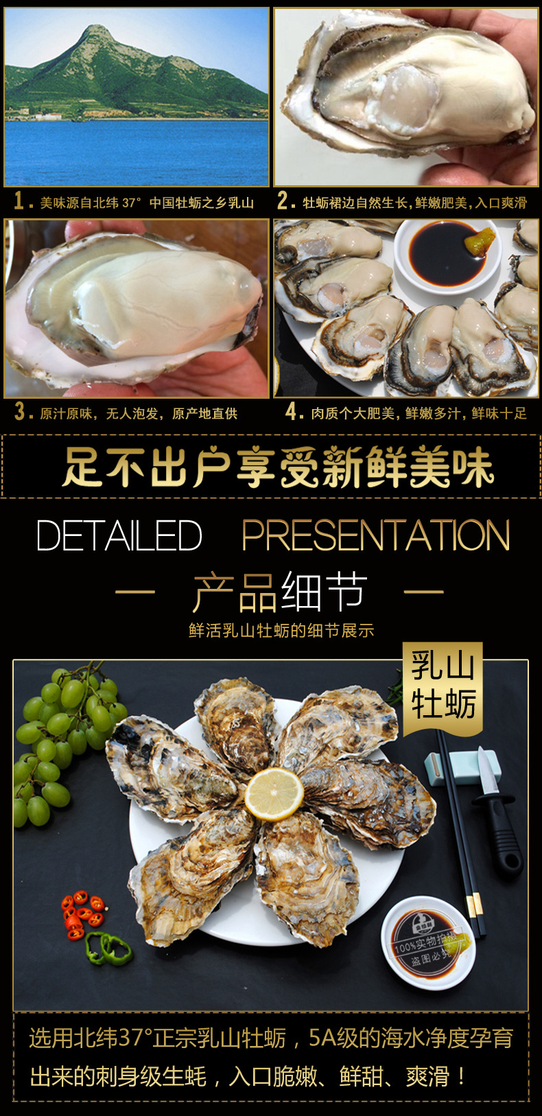 【乳山生蚝】山东乳山牡蛎生蚝两倍体生蚝 新鲜海蛎子 10斤装顺丰