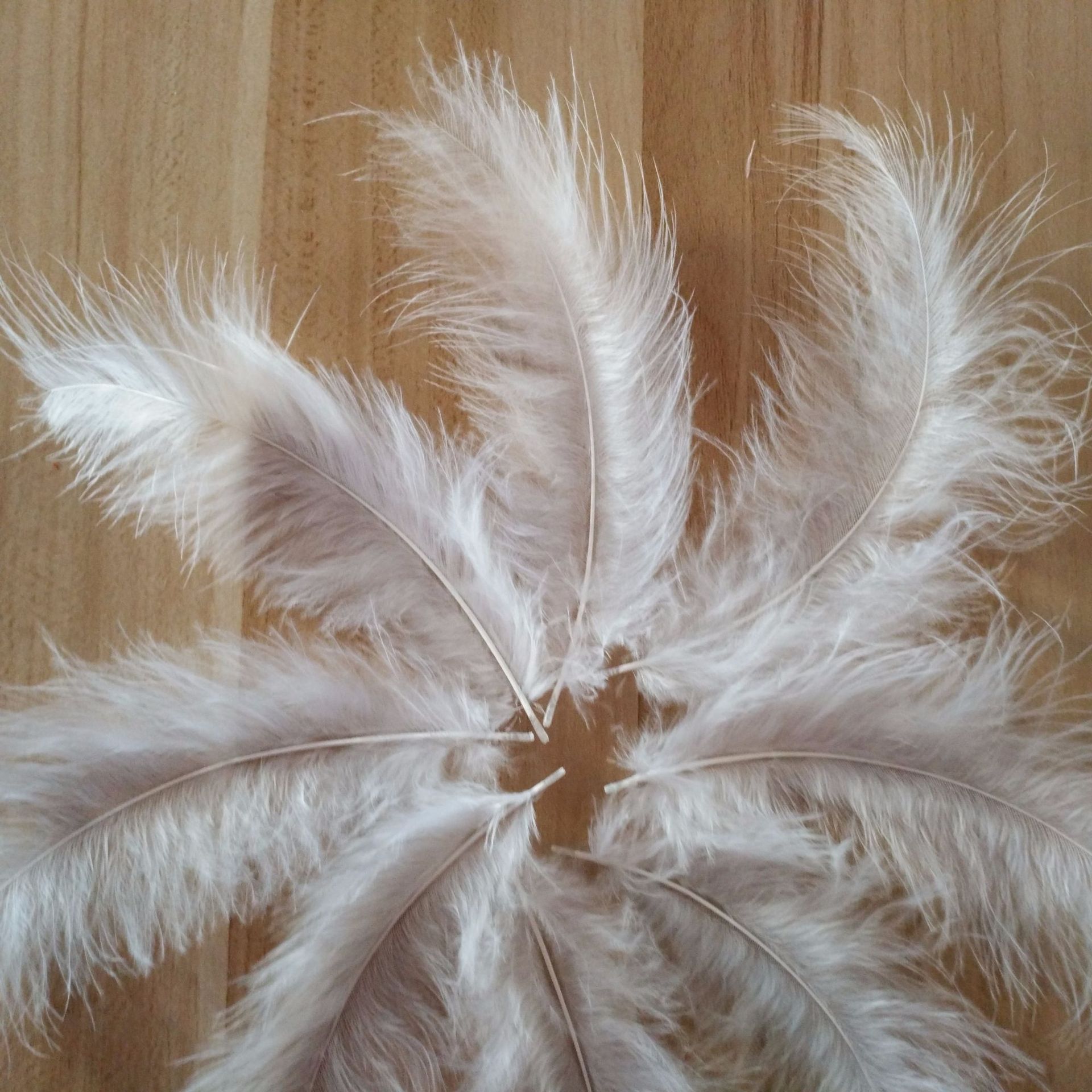 厂家直销羽毛制品白色火鸡尖尾绒波波球填充网红气球装饰火鸡毛