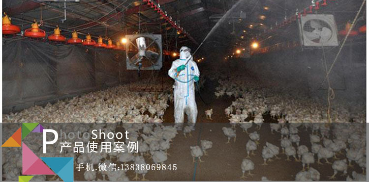 养鸡除臭消毒液适用案例