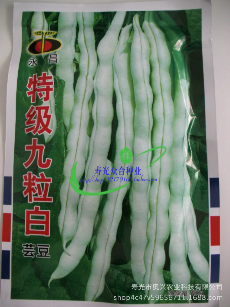 九粒白芸豆种子老来少品质佳无纤维架豆芸豆种子50克