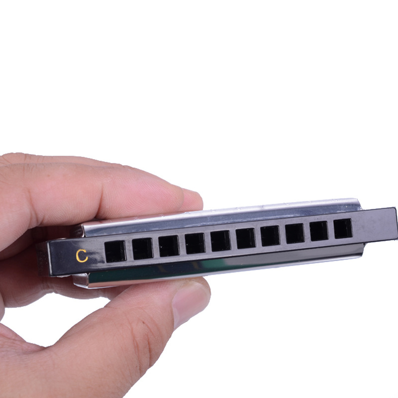 天鹅10孔口琴 初学入门布鲁斯口琴 蓝调高级10孔20音c调练习口琴