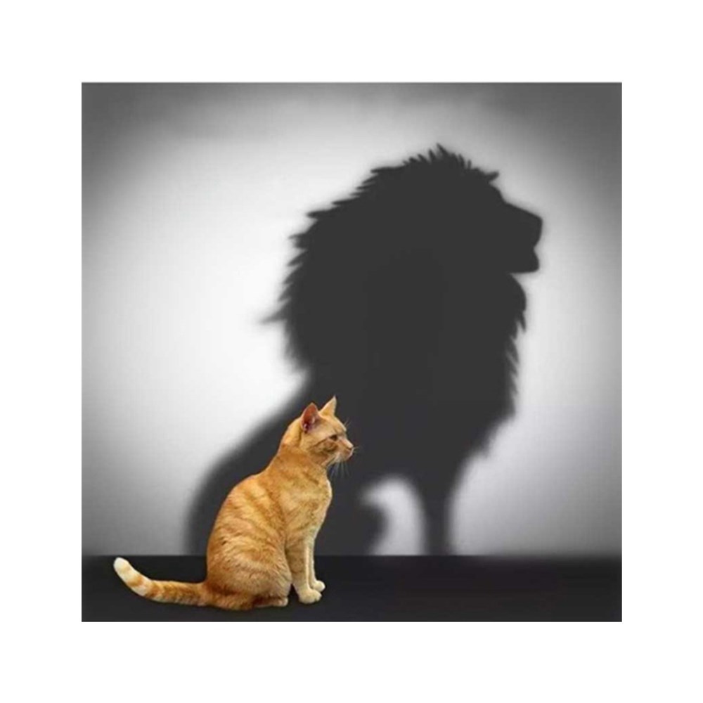 新款亚马逊速卖通爆款钻石画倒影狮子满钻