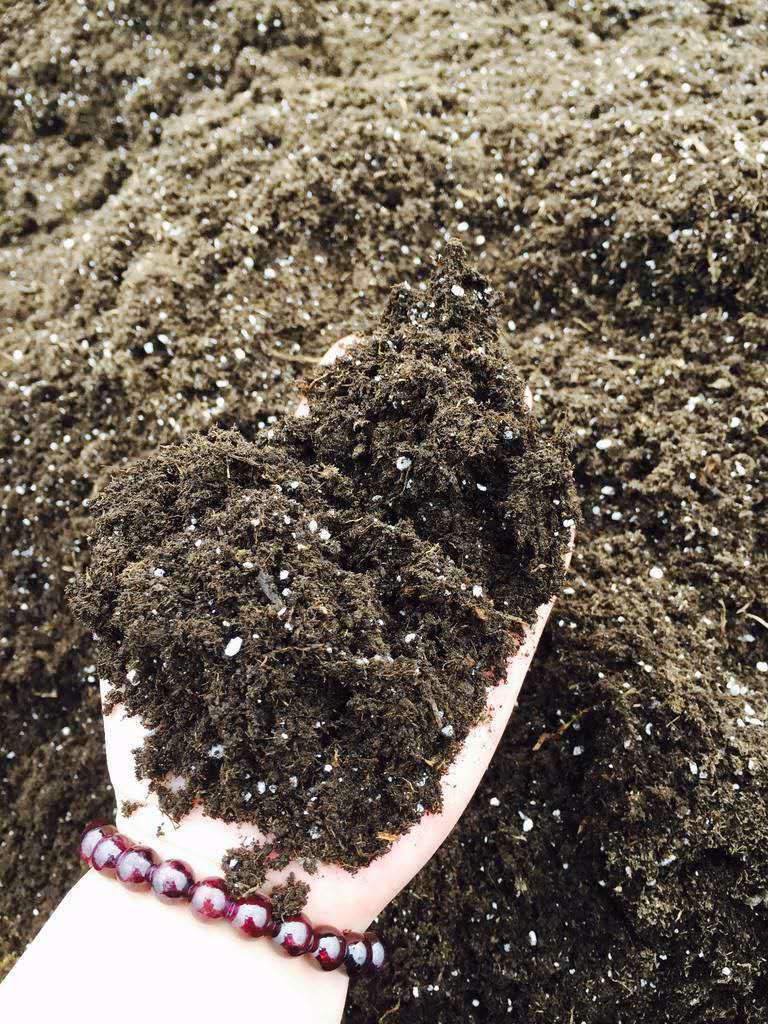 厂价直销蔬菜育苗基质 多肉花卉扦插盆栽种植 草莓育苗无土栽培