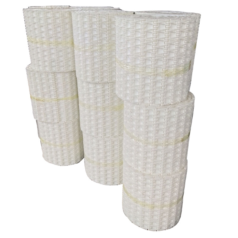 厂家直销塑料网带食品输送用 防滑塑料尼龙输送带 洗碗机塑料网带