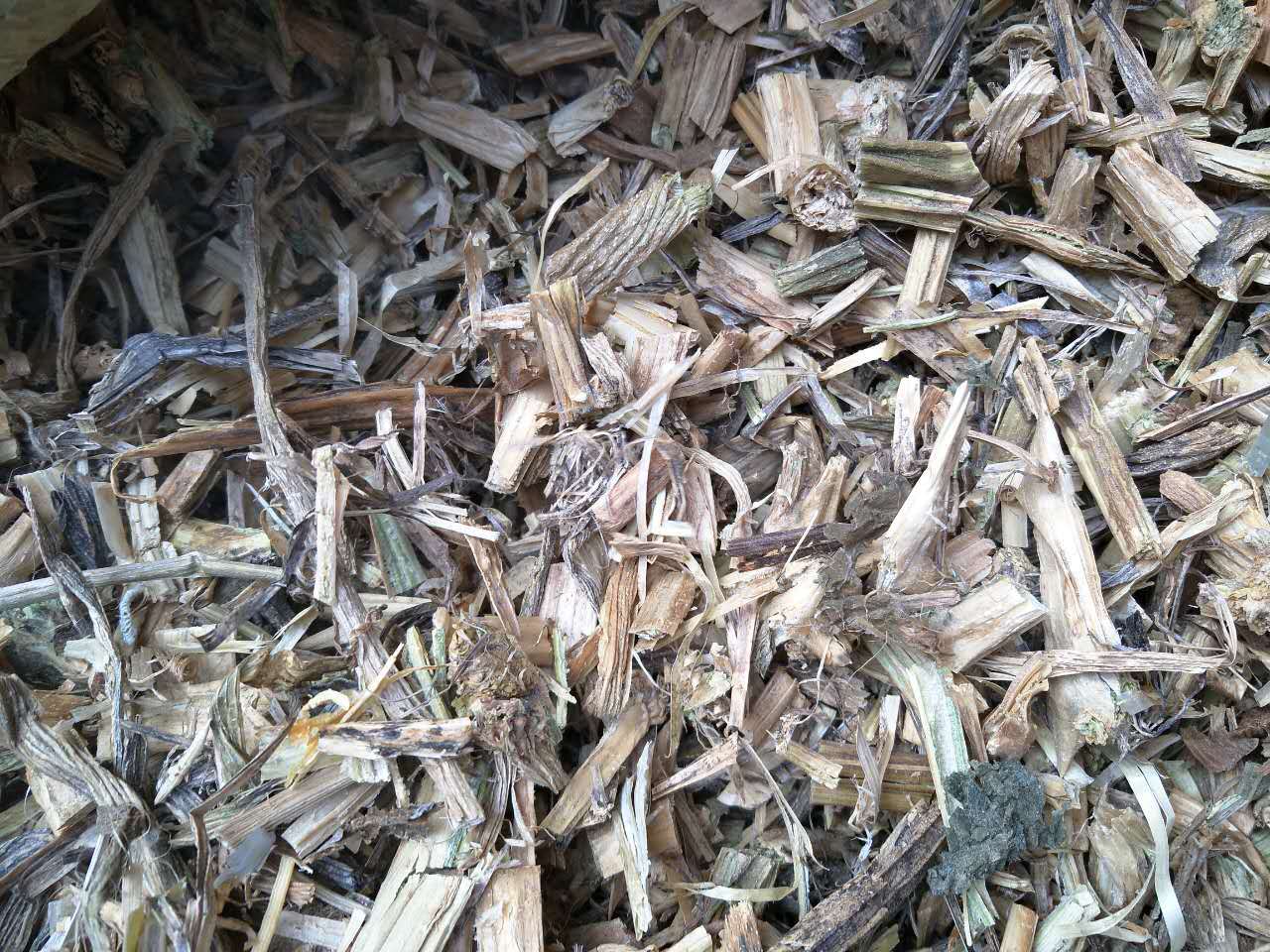 飒枫 南瓜藤 干南瓜藤 中药材 吊南瓜秧 吊南瓜曼 大货批发