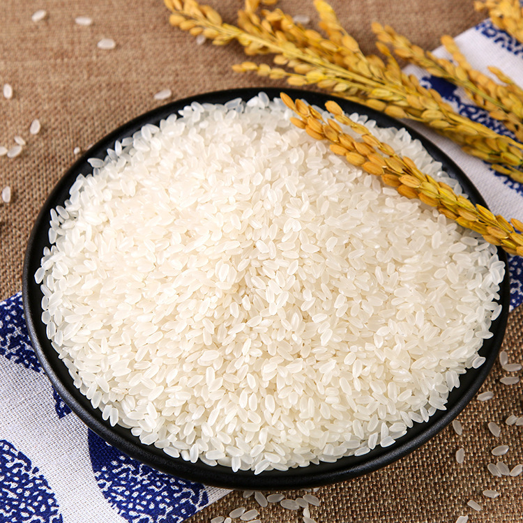 一篇文章让你充分了解大米!