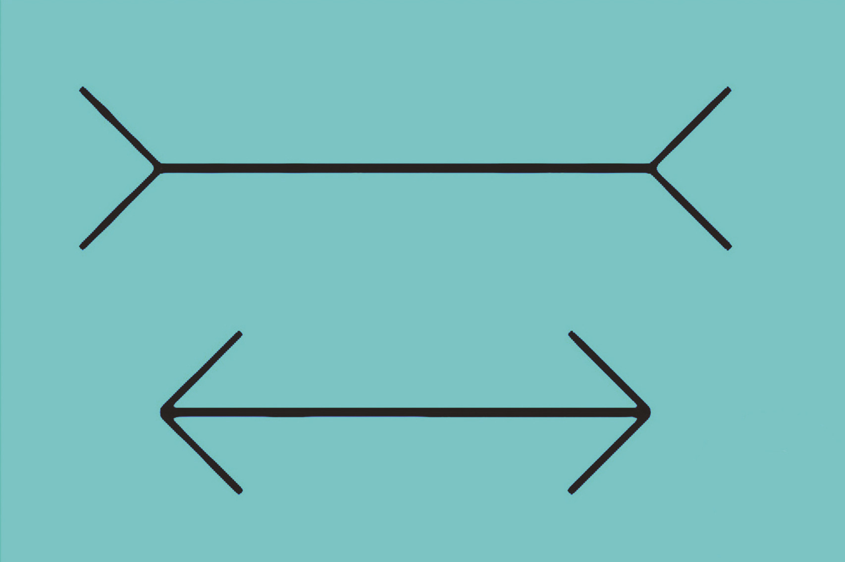 缪勒·莱依尔错觉