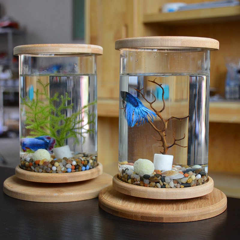 Desktop Glass Flower Container Creative Office Tempered Glass Microview Cylinder Rotating Bedroom Fish Tank Betta Tank Mini Small