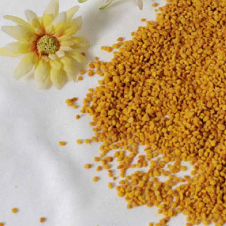供应散装益母草花粉 新鲜益母草蜂花粉 蜂农自产批发益母草花粉