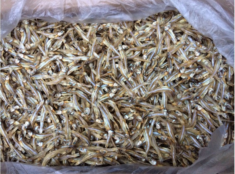 淡干公鱼干公干鱼仔白凡鱼干跑江湖地摊小鱼干宠物猫鱼干渔民自晒