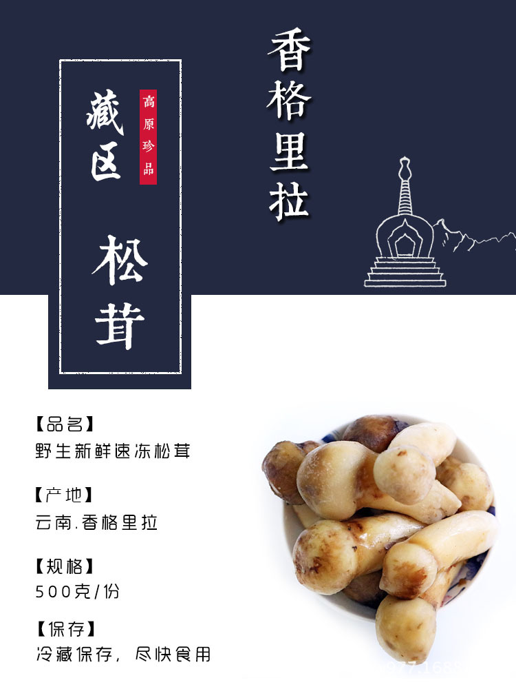 云南香格里拉深山野生松茸菌 新鲜速冻 各级别松茸