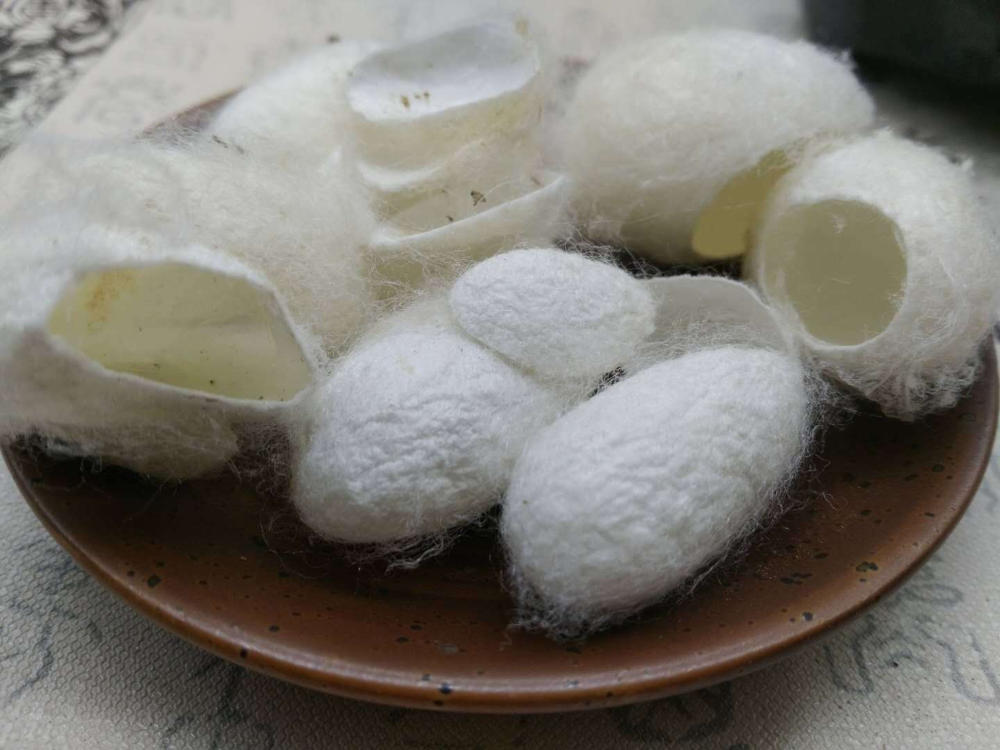 包邮产地货源飒枫批发蚕衣 茧黄 蚕茧壳中药材大货实力商家直销