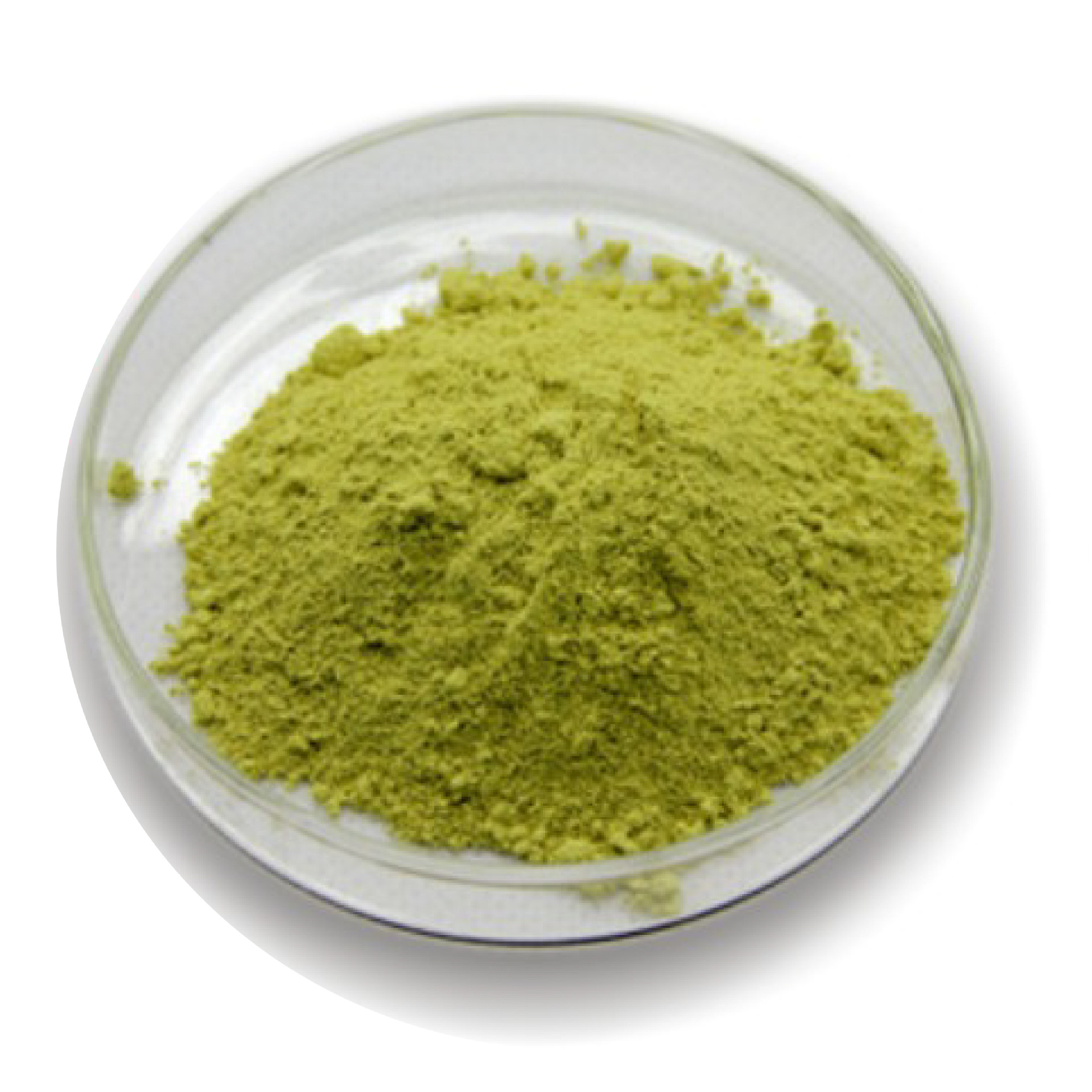 大麦苗粉厂家直销 大麦苗粉现货 大麦苗粉产地货源 森弗 含运费