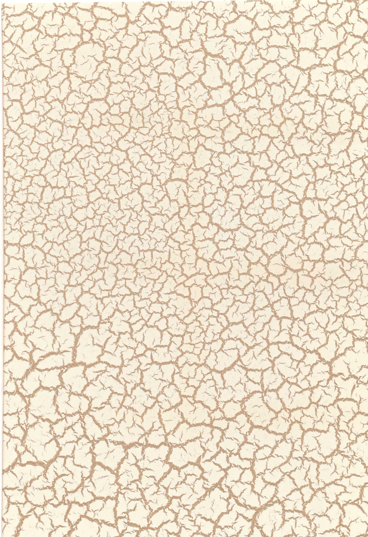 裂纹漆油性喷涂漆油漆艺术涂料室内内墙墙艺艺术漆皱纹漆