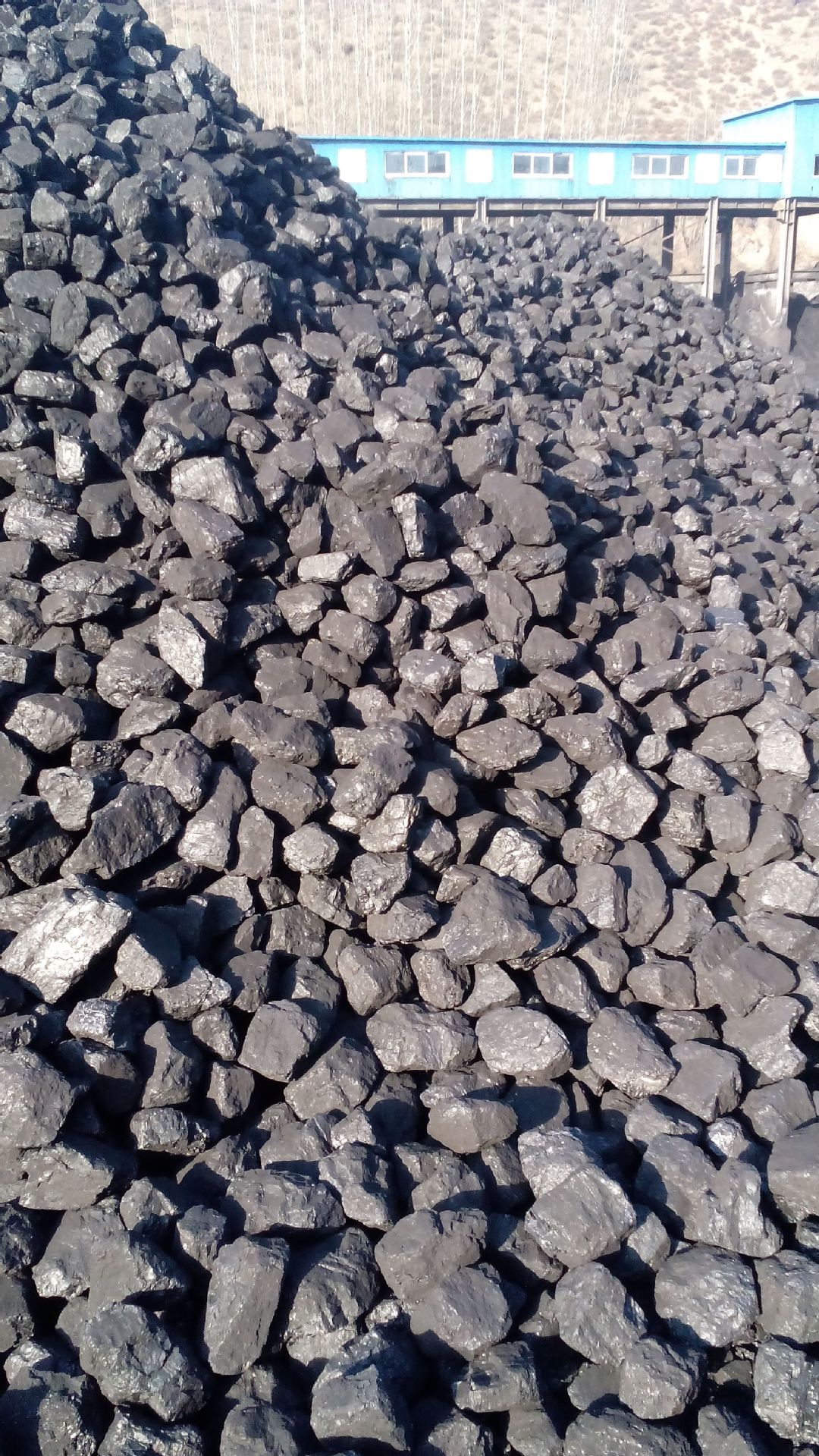 烟煤炭高煤气发生炉冶炼陶瓷用煤酒精厂砖厂养殖供暖专用价格优惠