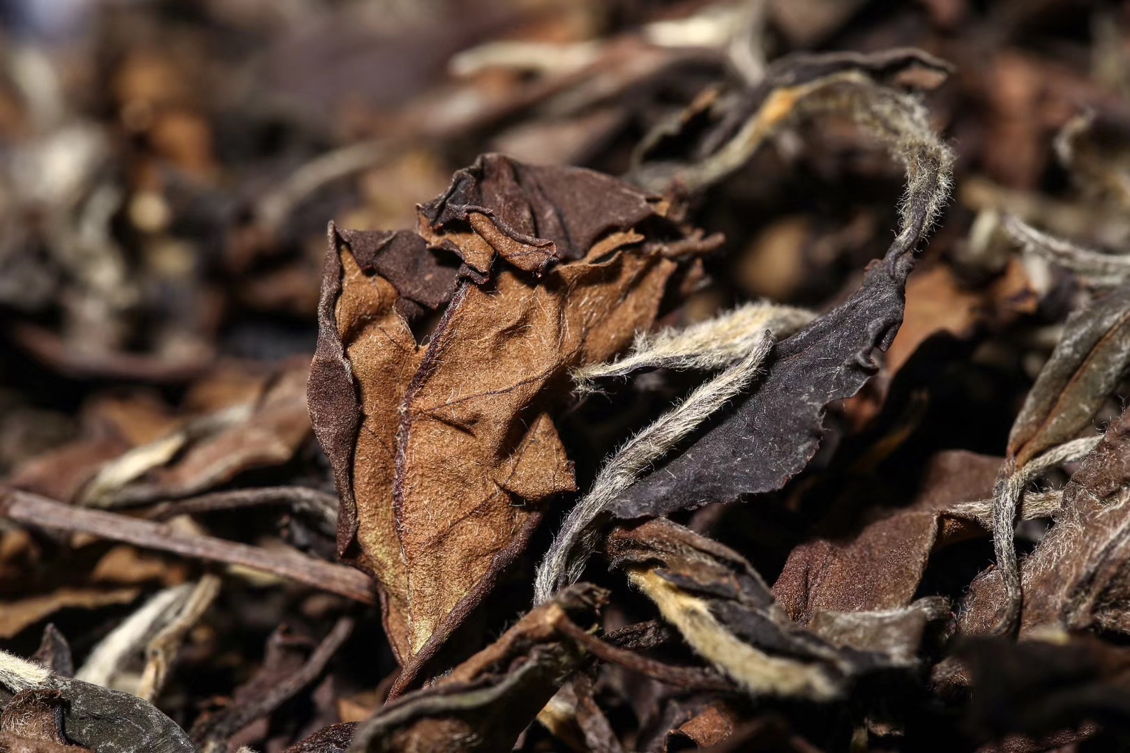 2012年老白茶 野生老白茶 茶叶散装批发 一件代发