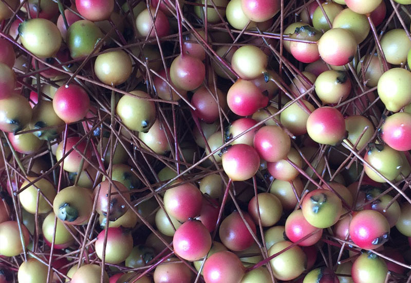 厂家批发圣诞浆果红果串 新款仿真植物石榴果子串仿真花定做批发