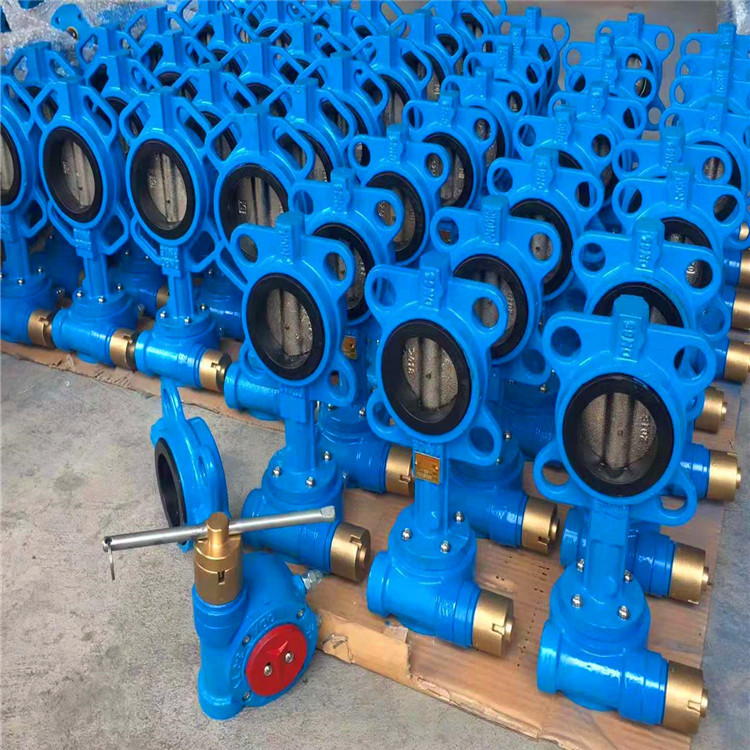 不锈钢阀瓣蝶阀对夹四氟cfd371f-16q dn65对夹磁性锁闭防盗蝶阀