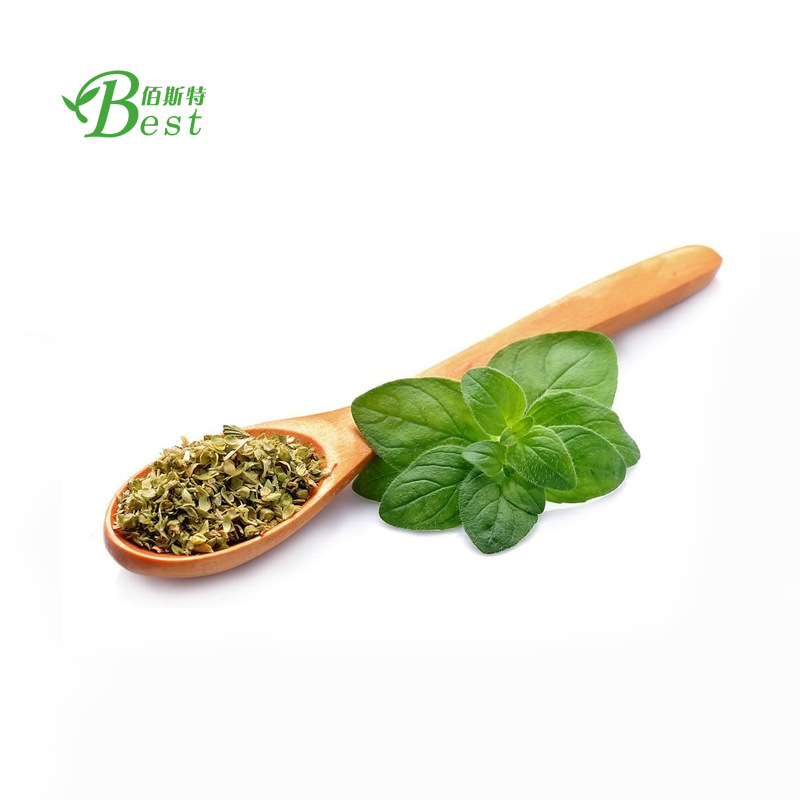 牛至提取物 10:1 牛至粉 牛至叶提取物 植物提取厂家 现货