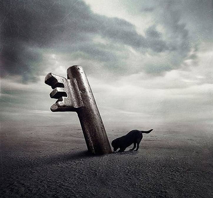 成熟在逆境,醒悟在绝境