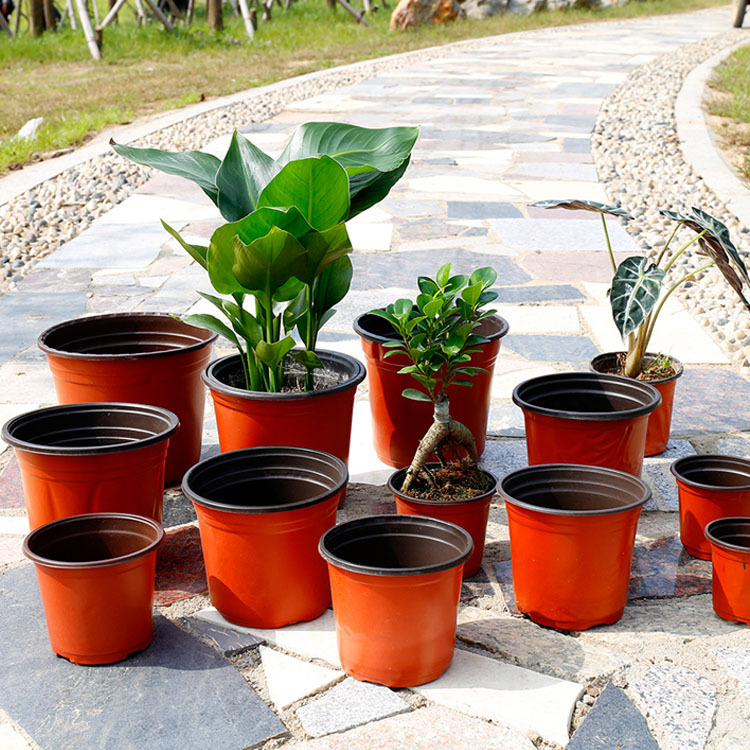 双色盆批发营养杯加厚塑料育苗花盆育秧杯育苗袋 阳台花卉