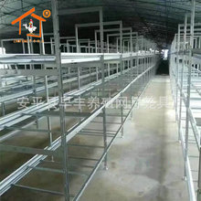 厂家生产出口肉鸡笼 养殖阶梯式鸡笼 自动化养殖养鸡笼具厂家批发