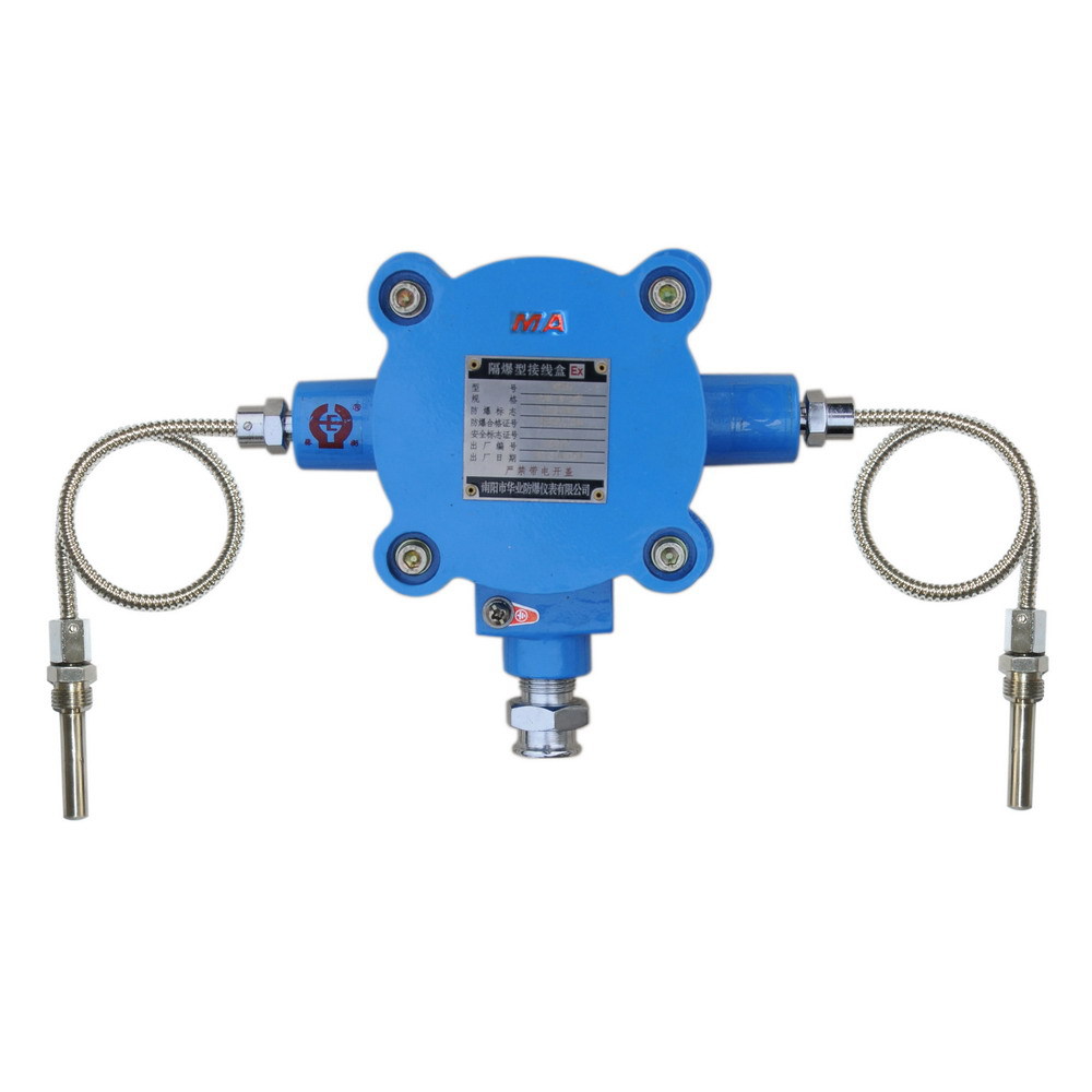 接线盒防爆电机