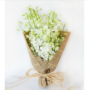 纯天然拉菲草 许愿草 异国风情爱情草鲜花包装材料花店包装纸辅材