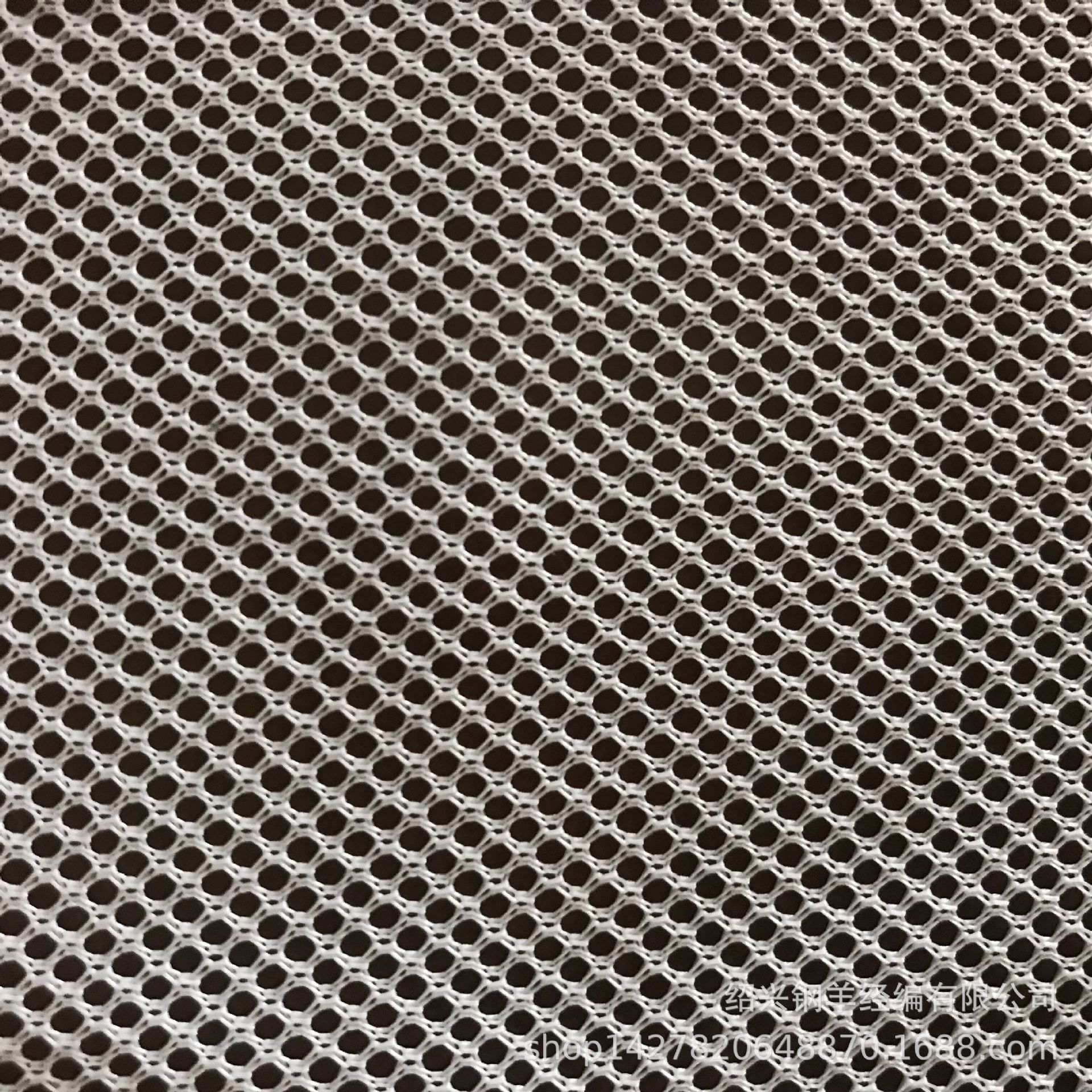 厂家直销 孔中孔圆孔网布反光衣冲锋衣网布服装家纺用布 白坯现货