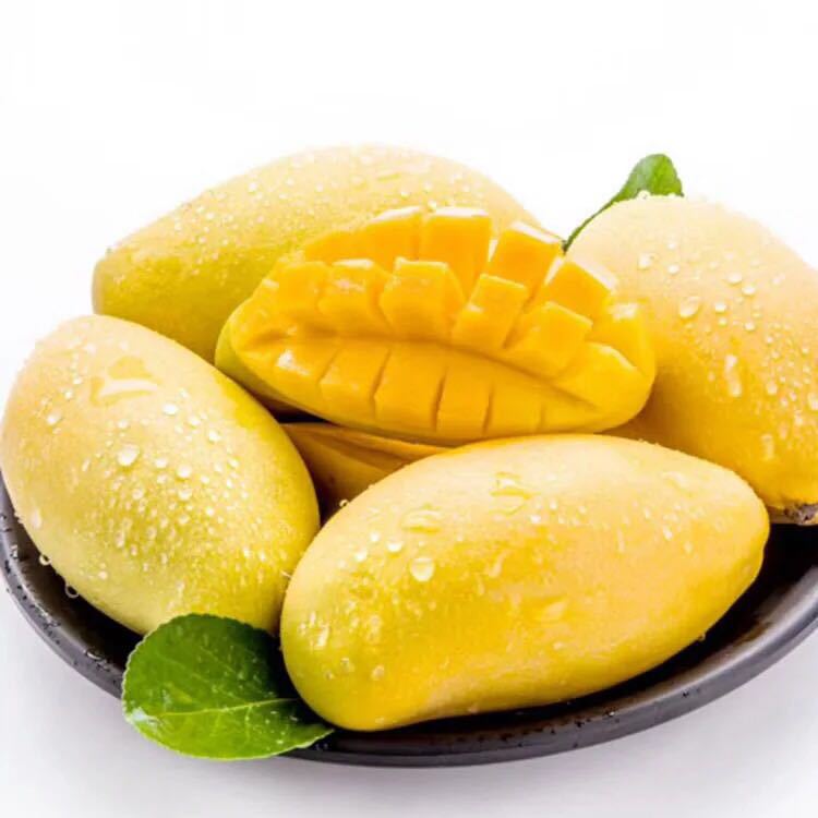 微博橱窗##全网诚信通官方# 高乐蜜芒果5斤.