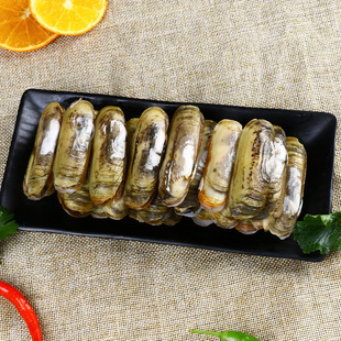 产地直供鲜活蛏子头蛏子蛏子贝类大量批发 酒店食材海鲜水产批发