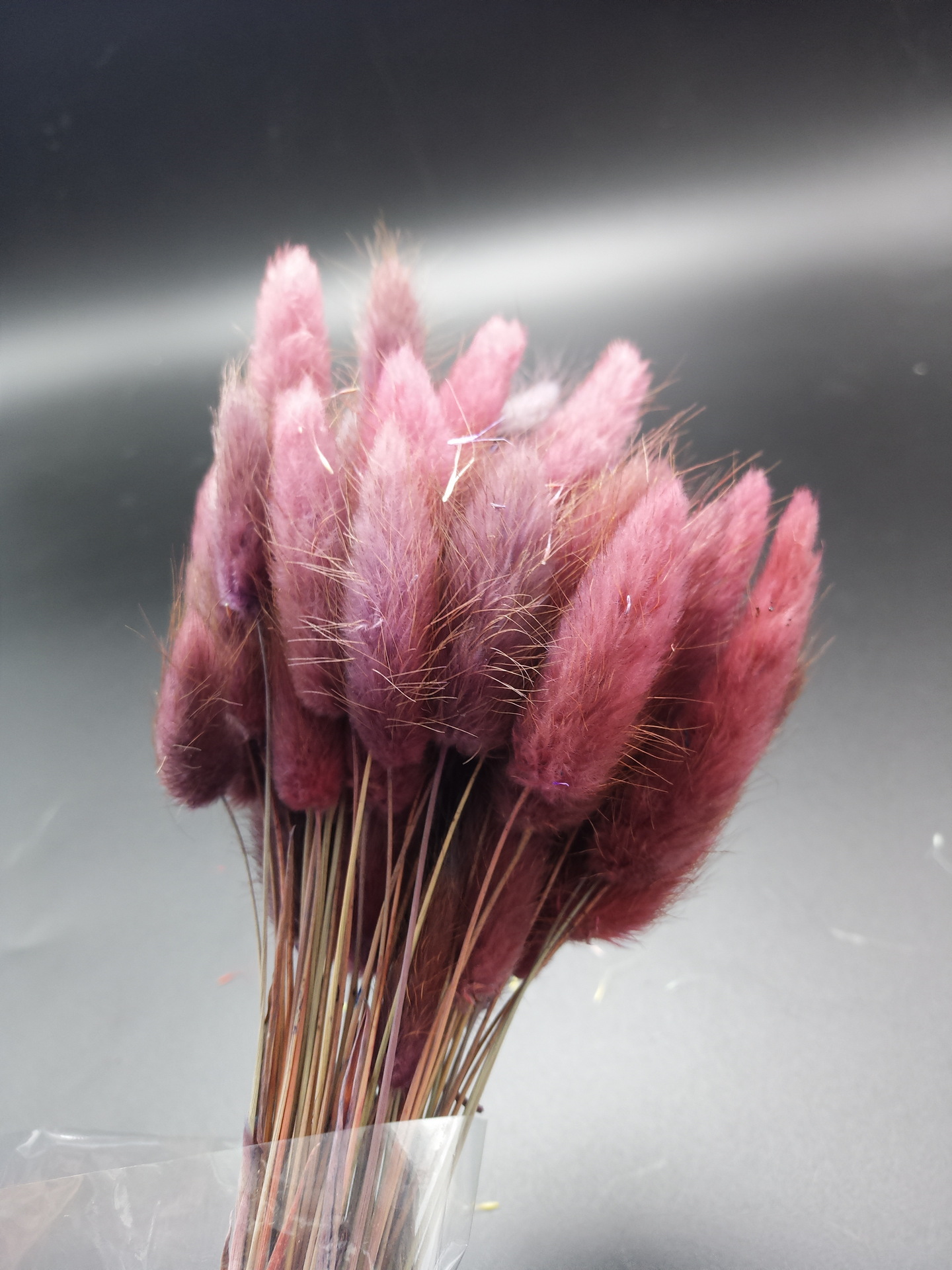 云南 兔尾草干花天然花束 仿真花永生花diy花材狗尾巴草拍摄道具