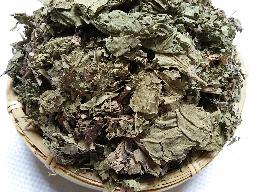 中药材芙蓉叶木芙蓉叶地芙蓉 山芙蓉 胡李花 三变花 木棉