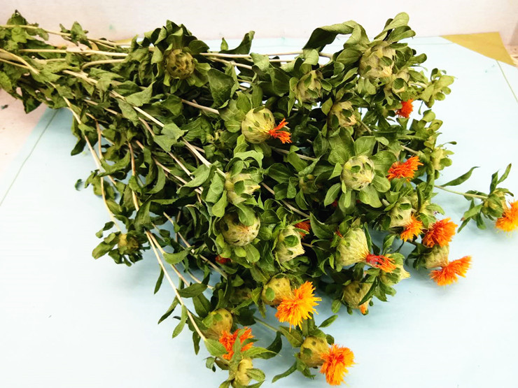 【干花橙菠萝】自然晾干 自有颜色环保家居装饰花材 5枝/扎