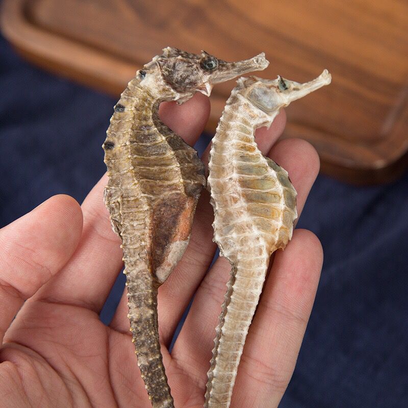 微商一件代发汕头淡水海马无添加无增重三斑海马