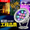 direct deal Fountain Light 9W Underwater Spotlight fish tank pool Pool Light Colorful LED Underwater Temple Right Sea Swallow