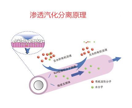 厦门国初提供渗透汽化实验设备 专业定制
