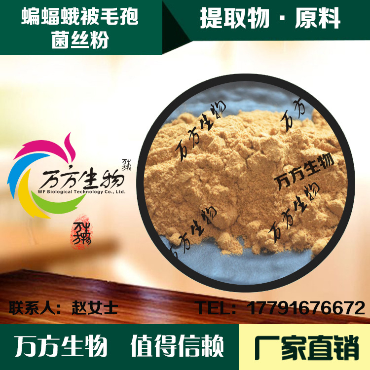 蝙蝠蛾被毛孢菌丝体粉 中华被毛孢菌粉 虫草被毛孢菌丝体粉 现货