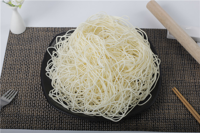 仿真彩色面条 粉丝diy模型 食物展示认知幼教环保仿真食物模型