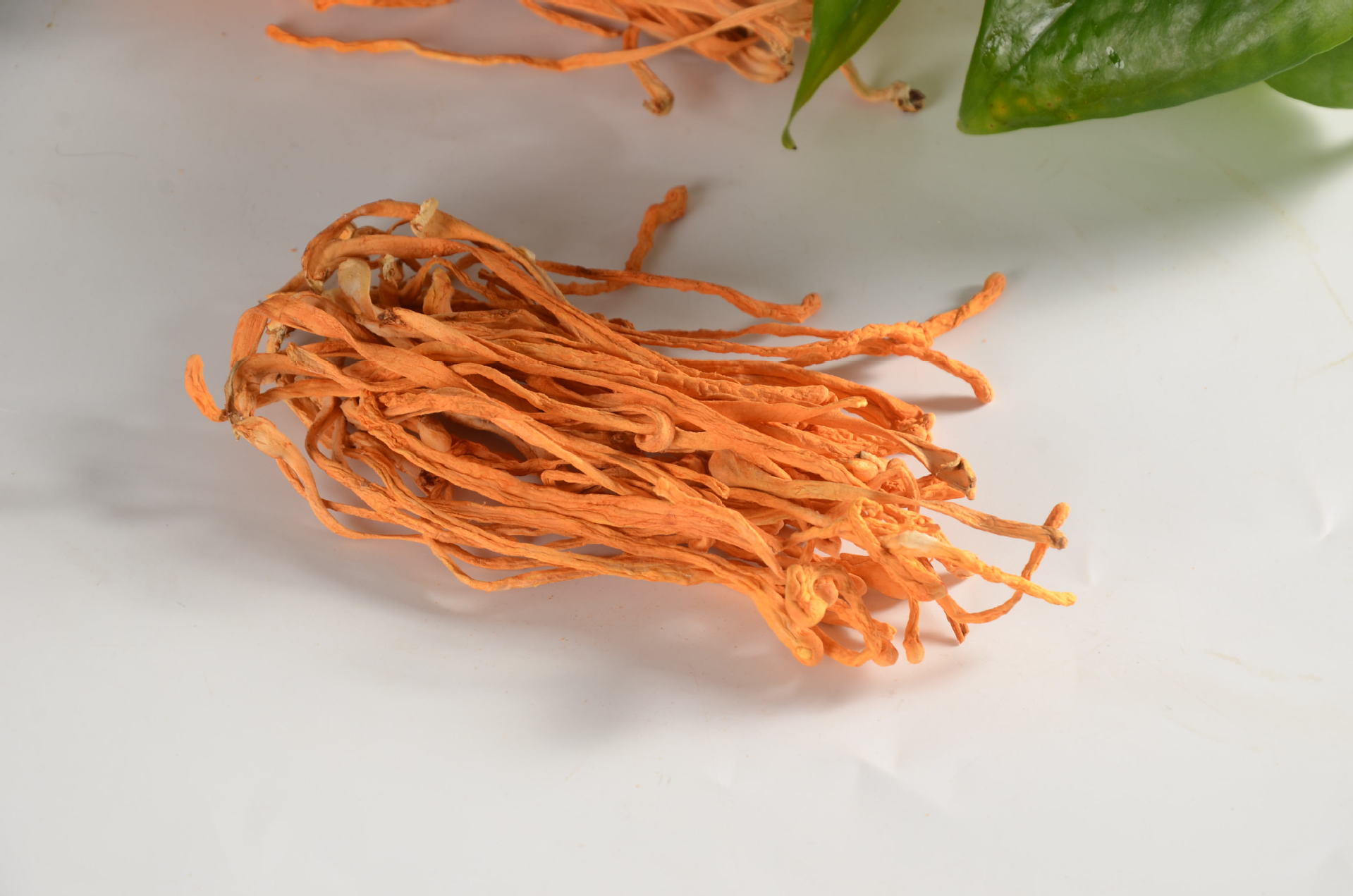 古田虫草花散装500g批发 食用菌干货不老草厂家直销批发量大从优