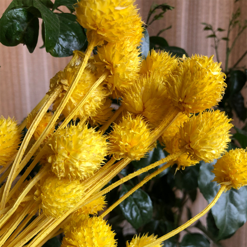 批发昆明天然干花千日红手工花束多色草莓果真花礼盒配材一件代发