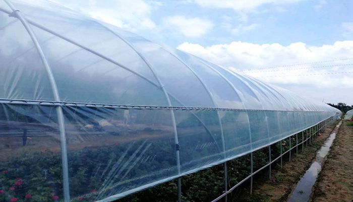 批发加厚塑料布薄膜无滴膜农用地膜保温家用大棚膜防晒养殖黑白膜