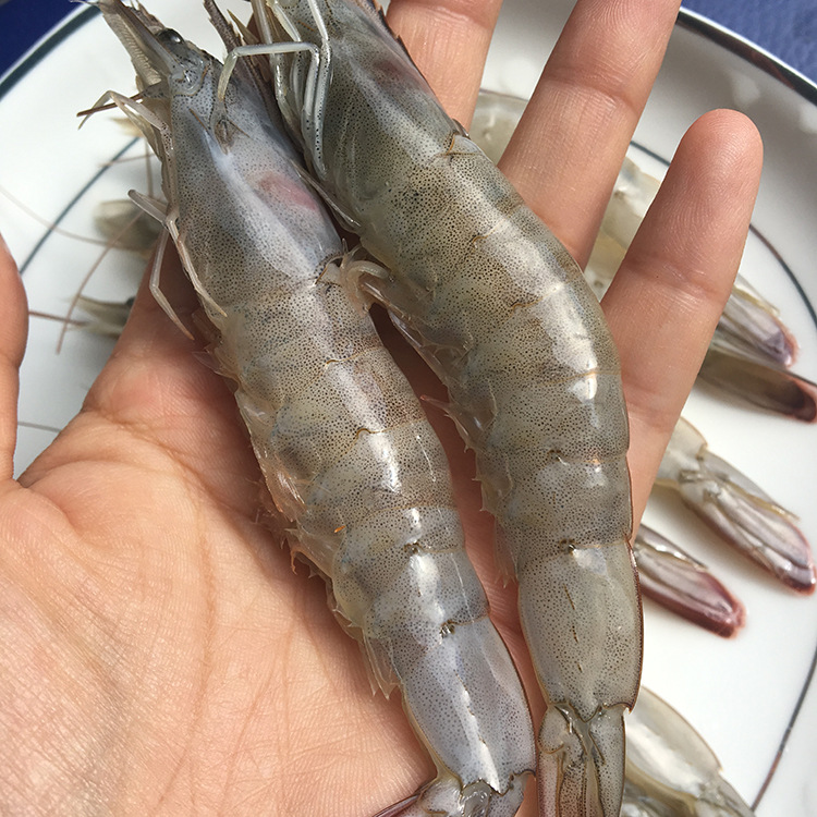 顺丰空运包邮海捕小白虾盐冻无冰 冻虾海鲜海虾鲜虾一件代发