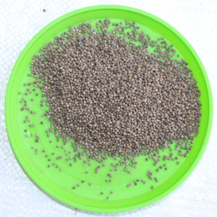 批发草本花卉种子 花菱草种子 观赏植物 园林花卉 易种植