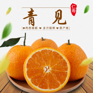四川新鲜水果青见柑橘 5斤装果园现摘现发清见 手剥橙子青见柑桔