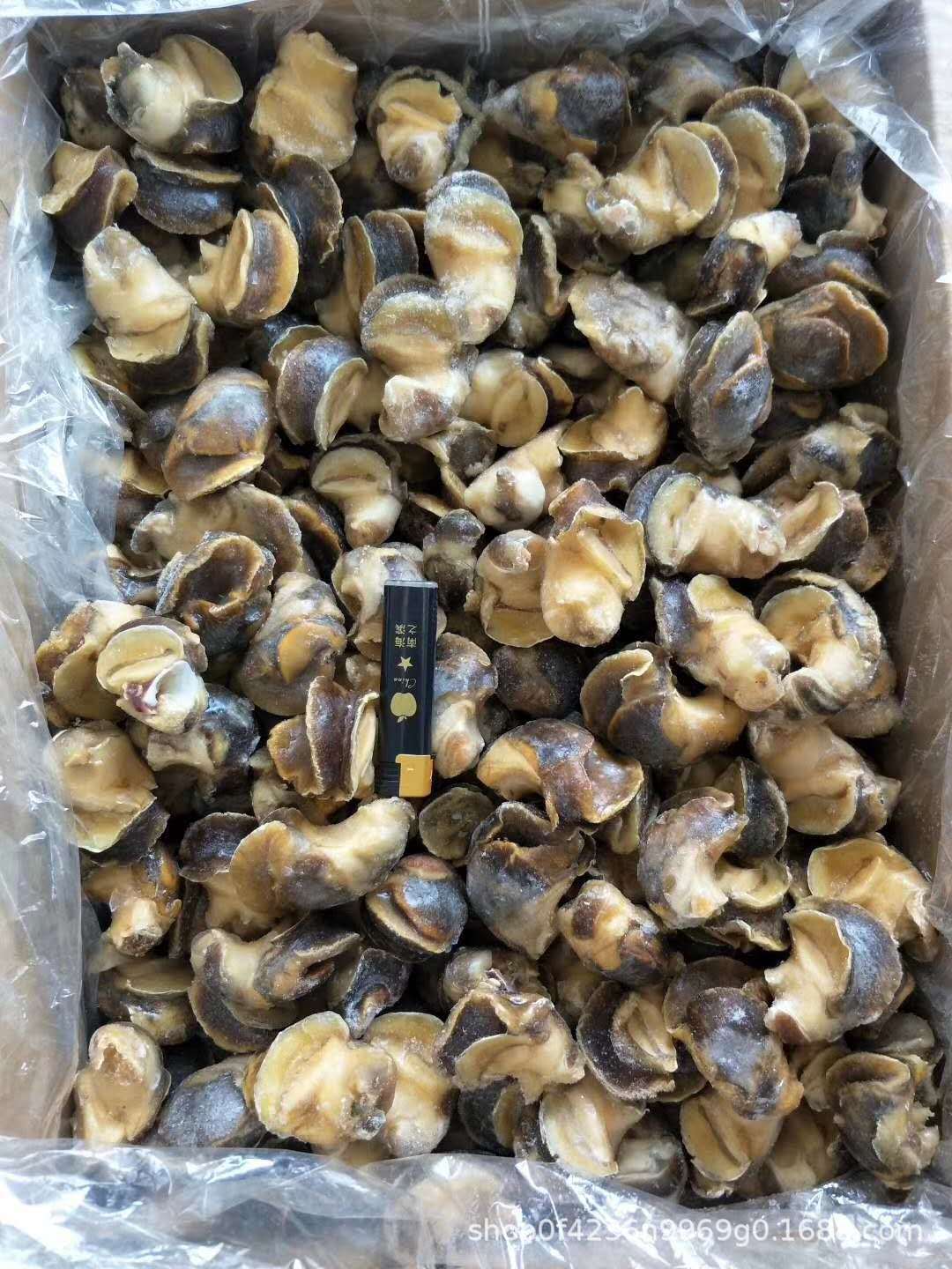 单冻香螺 玉螺 冷冻水产品海鲜自助餐火锅爆炒螺冷冻螺肉10kg/件