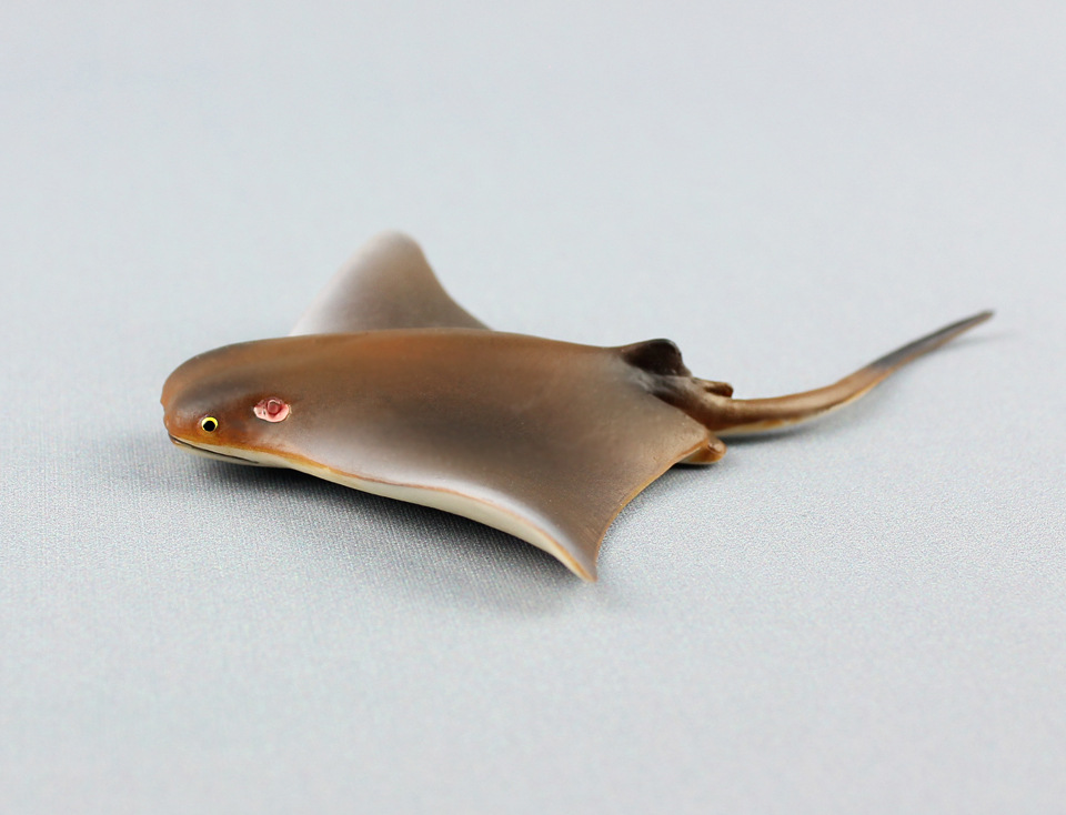 海洋生物模型小魔鬼鱼蝠鲼儿童仿真静态塑胶实心动物玩具外贸货源