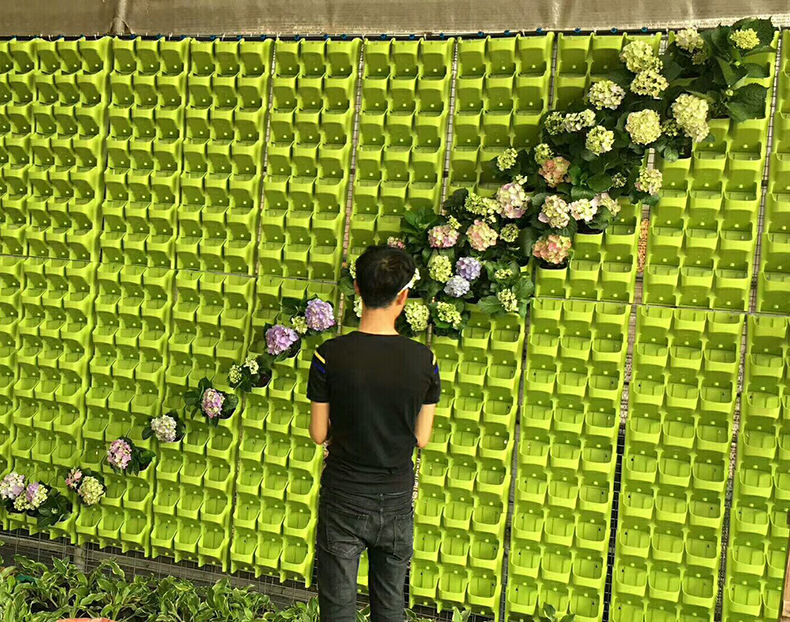 广东绿化工程绿色植物花墙室外婚庆花墙立体垂直绿化植物墙工程